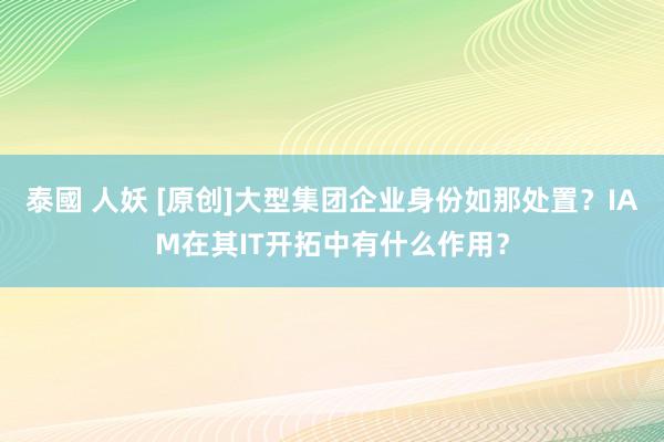 泰國 人妖 [原创]大型集团企业身份如那处置？IAM在其IT开拓中有什么作用？
