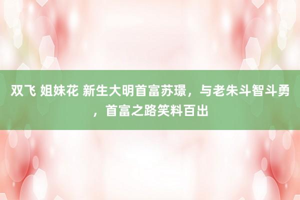 双飞 姐妹花 新生大明首富苏璟，与老朱斗智斗勇，首富之路笑料百出