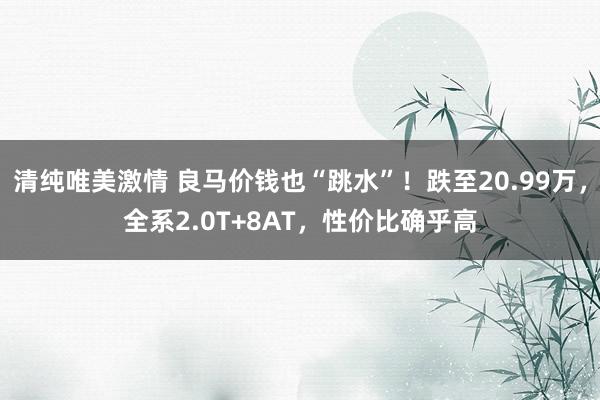 清纯唯美激情 良马价钱也“跳水”！跌至20.99万，全系2.0T+8AT，性价比确乎高
