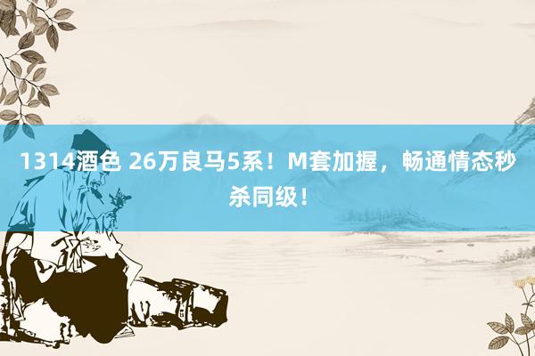 1314酒色 26万良马5系！M套加握，畅通情态秒杀同级！