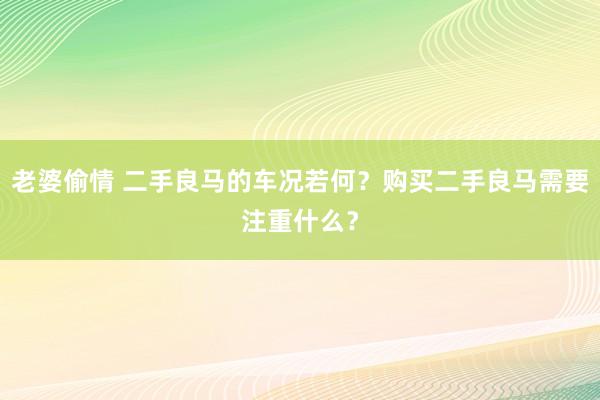 老婆偷情 二手良马的车况若何？购买二手良马需要注重什么？