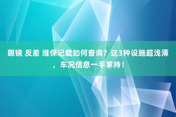 眼镜 反差 维保记载如何查询？这3种设施超浅薄，车况信息一手掌持！