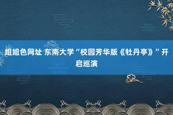 姐姐色网址 东南大学“校园芳华版《牡丹亭》”开启巡演