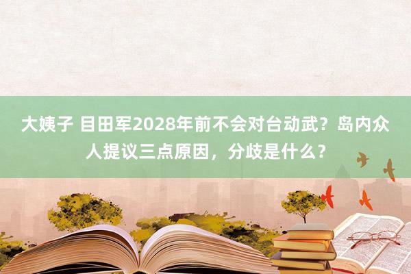 大姨子 目田军2028年前不会对台动武？岛内众人提议三点原因，分歧是什么？