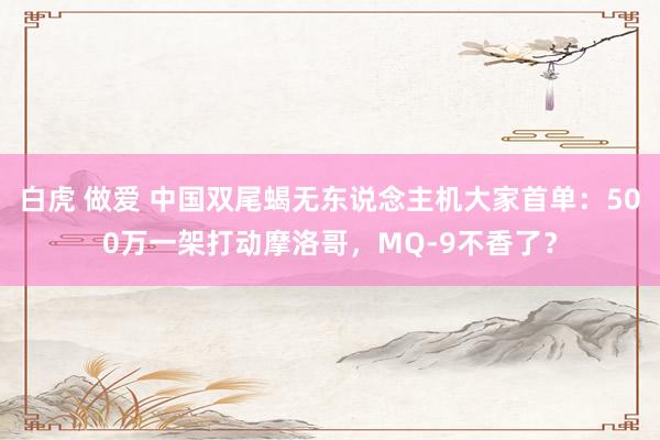 白虎 做爱 中国双尾蝎无东说念主机大家首单：500万一架打动摩洛哥，MQ-9不香了？